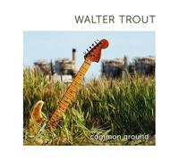Walter Trout - Common Ground (2LP Coloured Vinyl) [VINYL]