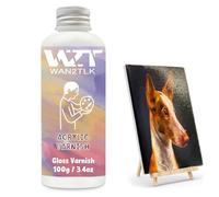 WAN2TLK 100ml Acrylic Varnish for Painting, Protective Gloss Finish, Non-Yellowing Sealer for Artists Canvas, Wood & Crafts