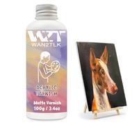 WAN2TLK 100ml Acrylic Varnish for Painting, Protective Matte Finish, Non-Yellowing Sealer for Artists Canvas, Wood & Crafts