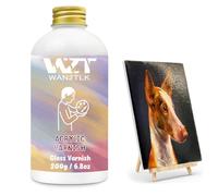 WAN2TLK 200ml Acrylic Varnish for Painting, Protective Gloss Finish, Non-Yellowing Sealer for Artists Canvas, Wood & Crafts