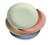 WANBY Plastic Plates 4Pcs 23cm/9Inch Lightweight Salad Dinner Plate Set