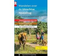 Wandelen over de Utrechtse Heuvelrug