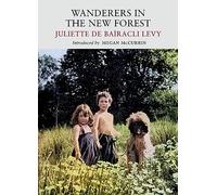 Wanderers in the New Forest