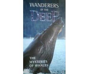 Wanderers of the Deep: The Mysteries of Whales [VHS] (1999)