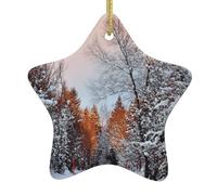 Wandering In The Winter Light Double-Sided Printed Ceramic Star Christmas Ornament With Gold Hanging Cord-Festive Holiday Decoration For Home,Store, Christmas Tree