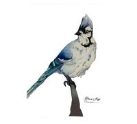 WANDERINGS Handmade Deckle Edge Blank Greeting Cards & Envelopes with Bird Art - 300gsm - 20 Cards (5 Each of 4 Varieties) - 5x7 / 13x18 cm - for Invitations & Thank You Cards