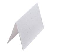 Wanderings Handmade Flower Seed Greeting Cards - 5 x 7” / 12.5 x 18 Cm - Pack of 25 - Plantable Wildflower Seed Paper for Invitations, Thank Yous & Greetings - 250 GSM Deckled Edge