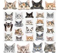 WANDIC 5 Sheets Cat Head Rub On Transfers Animal Scrapbook Stickers Cute Window Decals Waterproof Stickers Cup Wraps for DIY Furniture Photo Albums,10 * 30cm