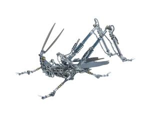 WANENGEDIY 3D DIY Metal Insect Puzzle Steampunk Mechanical Grasshopper Model Kit for Insect Enthusiast Mechanical Jigsaw Metal Puzzle - 600 Pieces CreatIve Ornament