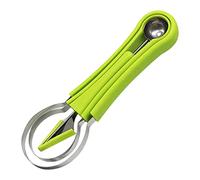 WANGCL 4 In 1 Stainless Steel Watermelon Cutter Fruit Carving Tools Set Fruit Scooper Seed Remover Watermelon Melon Baller Scoop Set（Green）