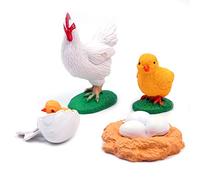 WANGCL Chick Life Cycle, Highly Simulation Animal Life Cycle 4 Part Animal Learning Model Educational Toys for Toddlers