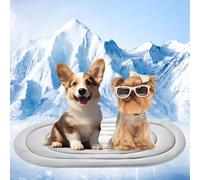 Wangguanruixi 2-in-1 Dog Mat Large 90×50cm, Durable Pet Mat for Winter & Summer Use, Non-Toxic Soft Warm Pad with Leakproof & Scratch-Resistant Design, Indoor/Outdoor Bed Mattress for Dogs Cats