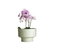 WANGHAI-666 Flower Pot Minimalist Planters: These Round Planters Are Made Of Pearlescent Plastic(White,Medium)