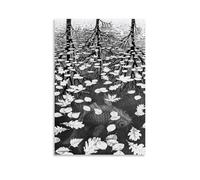 WANGLIDD Maurits Cornelis Escher Paintings Wall Art Poster Prints Three Worlds Canvas Painting Wall Art Decorative Picture Prints Modern Decor Unframe 24x36inch(60x90cm)