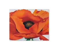 WANGLIDD Red Poppies Georgia O'Keeffe Paintings Flower Poster Painting Canvas Art And Wall Art Picture Print Modern Family Bedroom Decors Unframe 11x14inch(28cmx35cm)