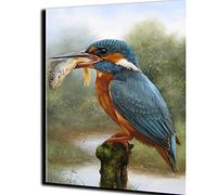 WANGMAOMAO Paint by Numbers DIY Acrylic Oil Painting Kit for Adults & Kids - with 3 Brushes & Bright Colors-16 x20 inch Kingfisher and Fish Animal -with Framed