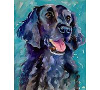 WANGMAOMAO Paint by Numbers for Adults Children Flat Coated Retriever Animal Dog 16x20 Inch Linen Canvas Acrylic DIY Number Painting Kits Hand Painted Oil Painting Wall Art Decor Gifts -with Frame