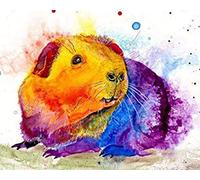 WANGMAOMAO Paint by Numbers for Adults Children Guinea Pig 16x20 Inch Linen Canvas Acrylic DIY Number Painting Kits Hand Painted Oil Painting Wall Art Decor Gifts -frameless