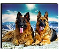 WANGMAOMAO Paint by Numbers Kits 40cm x 50cm Canvas DIY Acrylic Painting for Adults and Kids with Paints Brushes and Card Sized Magnifier German Shepherd -Frameless