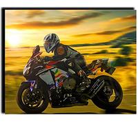 WANGMAOMAO Paint by Numbers Kits with Brushes and Acrylic Pigment DIY Canvas Painting for Adults Beginner- 16 x 20 inch Sunset motorcycle racing -with frame