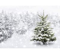 WANGRJ Winter Christmas Backdrop Natural Winter Snowflake Snowfall Xmas White Snow Tree Photo Background Home Party Decoration Photo Studio Props 8x6FT
