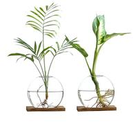 wangsdjy Glass Planter Propagation Station with Wooden Base - Clear Oblate Hydroponic Vase, Decorative Desktop Flower Vase for Home, Office, Windowsill - Gift for Plant Lovers (2)