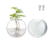 Wangsdjy Wall Mount Plant Propagation Station - Clear Hydroponic Glass Vase, Oblate Planter for Indoor Plants | Perfect for Home, Office, Bathroom Decor | Gift for Plant Lovers (2)