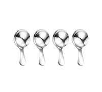 WANGSHIQI Short Handle Spoons,4 Pcs Small Scoops for Canisters, Stainless Steel Mini Salt Spoons for Salt Sugar Condiments Coffee Tea Dessert (4, Silvery)