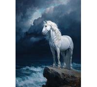WANGWANGMIAO Paint by Number for Adults White Horse Cliff Storm,Painting by Numbers Kits for Beginners,Colorful Oil Paints Craft Art for Home Wall Decor Gift 20X16Inch，Without Frame