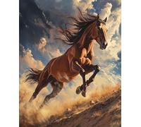 WANGWANGMIAO Paint by Numbers for Adults Galloping Horses Break Through Clouds, Painting by Numbers for Adult Canvas Crafts Kits, DIY kit for Relax and De-Stress Home Gift 16x20inch，with Frame