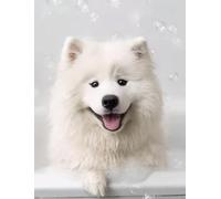 WANGWANGMIAO Paint by Numbers for Adults White Dog Bubble Bath- Painting by Numbers for Beginner,DIY Acrylic Oil Paints Canvas Kits for Home Wall Decor Gifts 16X20 Inch，Without Frame