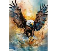 WANGWANGMIAO Paint by Numbers Kits for Adults,Bald Eagles Soaring Hunting Painting by Number Kits On Canvas,DIY Color Acrylic Oil Paints Home Wall Decor 16x20inch/40×50CM，with Frame