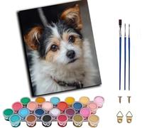 WANGWANGMIAO Paint by Numbers Kits for Adults -Three-Color elf-DIY Painting by Numbers Linen Canvas Gifts for Home Decoration,with Frame