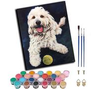 WANGXIAO DIY Painting by Numbers Kits for Adults Beginner,40x50cm，Oil Painting for Home Wall Decoration Hand Painted Gifts,Tennis Poodle,Frameless