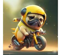 WANGXIAO Paint by Number for Adults,DIY Oil Painting Kits with Brushes and Acrylic Pigment,Canvas Painting Decor Gifts，16 X 16 Inch，Pug Knight,with Frame