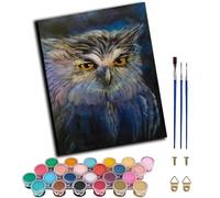 WANGXIAO Paint by Numbers,DIY Oil Painting Kit for Adults Beginner,with Paint Brushes and Acrylic Pigment,16 x 20 inch,Owl Abstract,Frameless