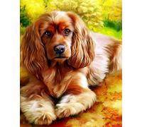 WANGXIAO Paint by Numbers for Adults，16x20 Inch，Oil Painting DIY Number Painting Kits Hand Painted Gifts Wall Decor，Cute Irish Setter,Frameless