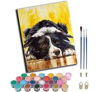 WANGXIAO Paint by Numbers for & Adults,DIY Acrylic Oil Painting Kits 16 x 20 inch Hand Painted Gift -Yellow Border Collie,Frameless