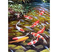WANGXIAO Paint by Numbers for Adults,DIY Oil Painting Art Kits with Acrylic Paint Brushes Craft Kits for Home Wall Decor，40x50cm，Pond Fish red koi,Frameless