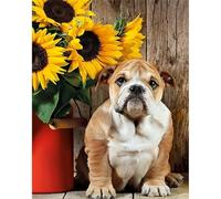 WANGXIAO Paint by Numbers for Adults,DIY Oil Painting Gift Kits,16 * 20 inch,Hand Painted Digital Painting Art Home Decoration,Sunflower and French Bulldog,Frameless