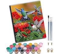 WANGXIAO Paint by Numbers for Adults,DIY Oil Painting Gift Kits,16 * 20 inch,Hand Painted Digital Paints Art Home Decoration,Hummingbird,Frameless