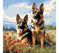 WANGXIAO Paint by Numbers for Adults,DIY Oil Painting Kit,16X16 Inch，Hand Drawn Gifts,German Shepherd On The Grass,with Frame
