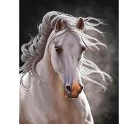 WANGXIAO Paint by Numbers Kit for Adults,Adults' Paint-by-Number Kits,Oil Painting for Wall Art,20x16inch，Animal Portrait Running Horse,Frameless