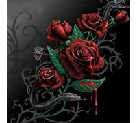 WANGXIAO Paint by Numbers Kit for Adults Beginner DIY Oil Painting Gift 16X16 Inch,Blood Rose and Black Snake,with Frame