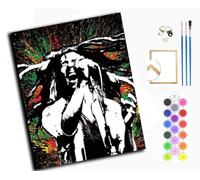 WANGXIAO Paint by Numbers Kit for Adults Beginner DIY Oil Painting Gift 16x20 inch,Rapper,with Frame