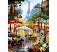 WANGXIAO Paint by Numbers Kit for Adults,DIY Acrylic Oil Painting Kits for Wall Art Decor Gifts,40x50cm,Paris Flower Shop,Frameless