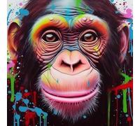 WANGXIAO Paint by Numbers Kits for Adults,Oil Painting Kits for Beginners On Clear Symbols Colored Canvas,Easy DIY Acrylic Pigment Drawing Gift,40X40Cm,Color Doodle Monkey Chimpanzee,with Frame
