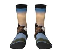 Wangxyozdp Flying Eagle Print Adult Socks for Men Women Novelty Fashion Breathable Boot Socks Soft Comfortable
