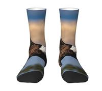 Wangxyozdp Flying Eagle Print Adult Socks for Men Women Novelty Fashion Breathable Boot Socks Soft Comfortable
