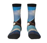 Wangxyozdp Flying Eagle Print Adult Socks for Men Women Novelty Fashion Breathable Boot Socks Soft Comfortable